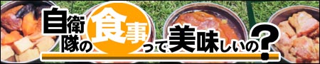 夢は物語の中に書評ブログ