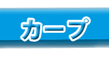 広島東洋カープ