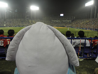 bigイカちゃん