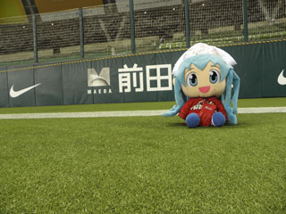 西武ドーム芝生