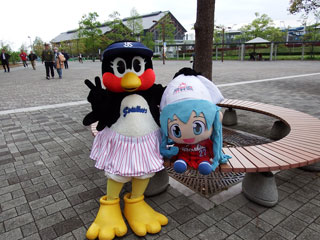 つばみ