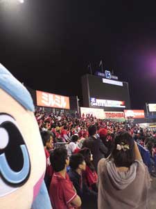 掲示板