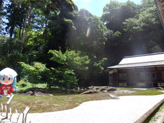 庭