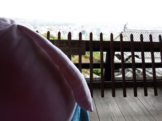 松山城5