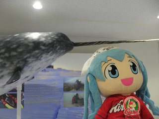 イッカク