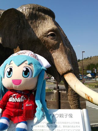 ナウマンゾウ