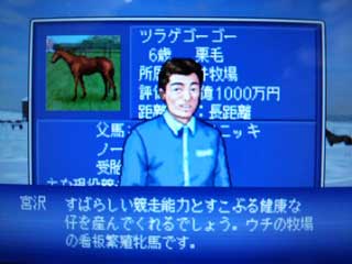 繁殖牝馬コメント