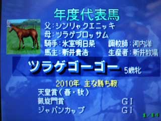 年度代表馬