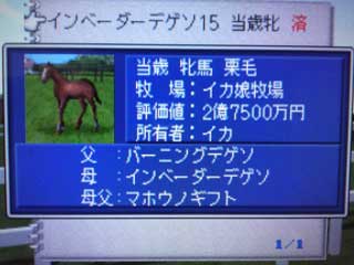仔馬評価額